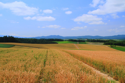660505 (a): :1920x1280